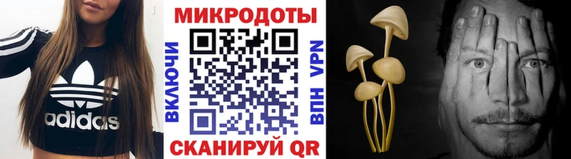 Купить где  Кузнецк  Псилоцибиновые грибы GOLDEN TEACHER 